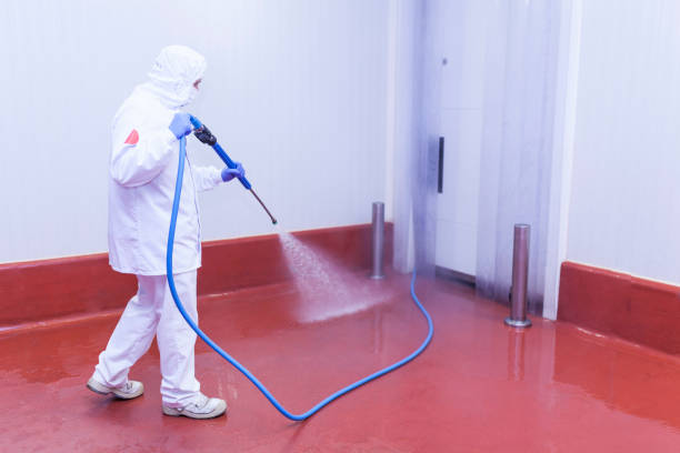 Best Sign and Awning Cleaning  in Malone, FL